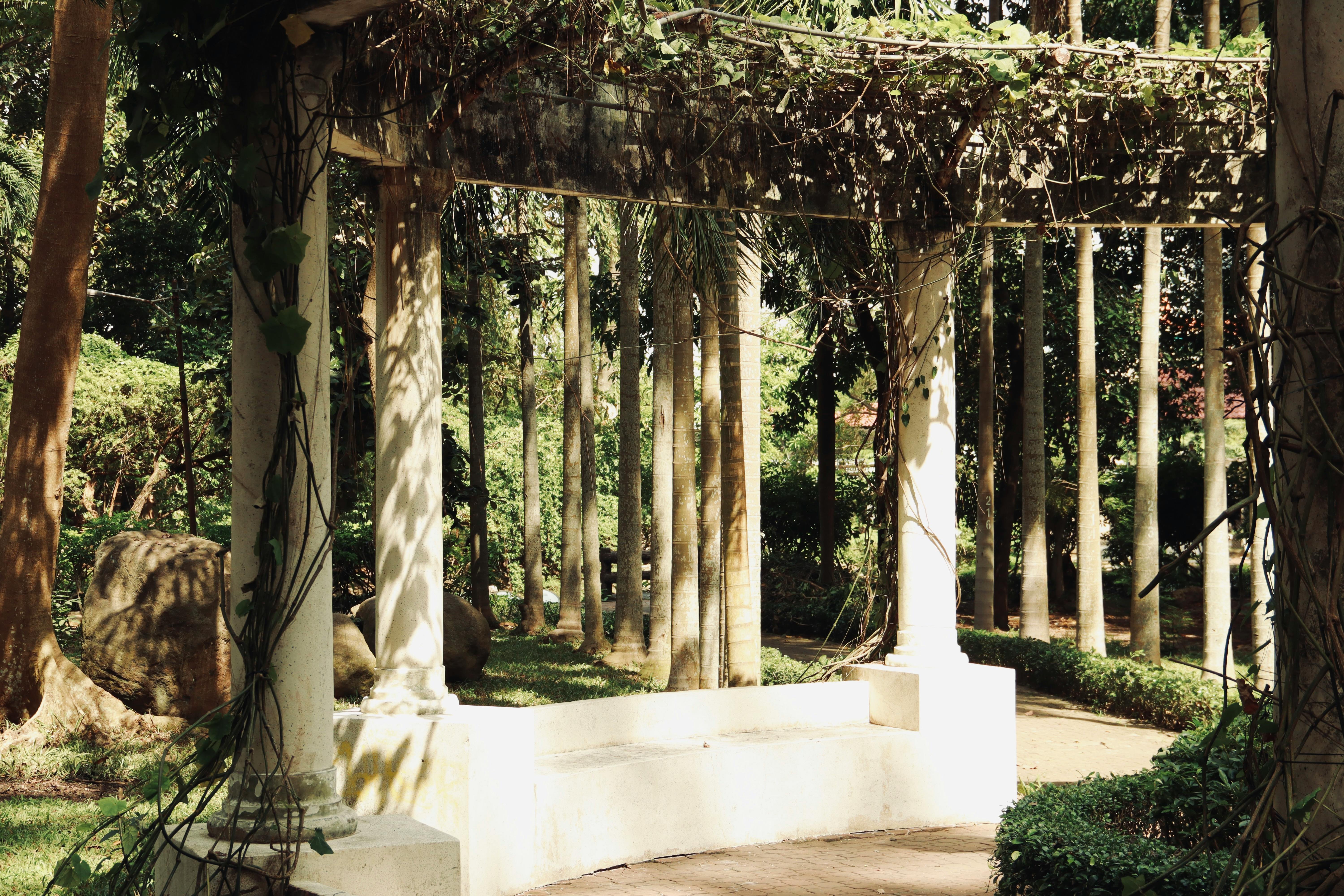 A peaceful, sunlit garden space designed for healing and reflection