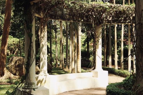 Free A serene pergola covered with vines in a lush, sunlit garden. Stock Photo