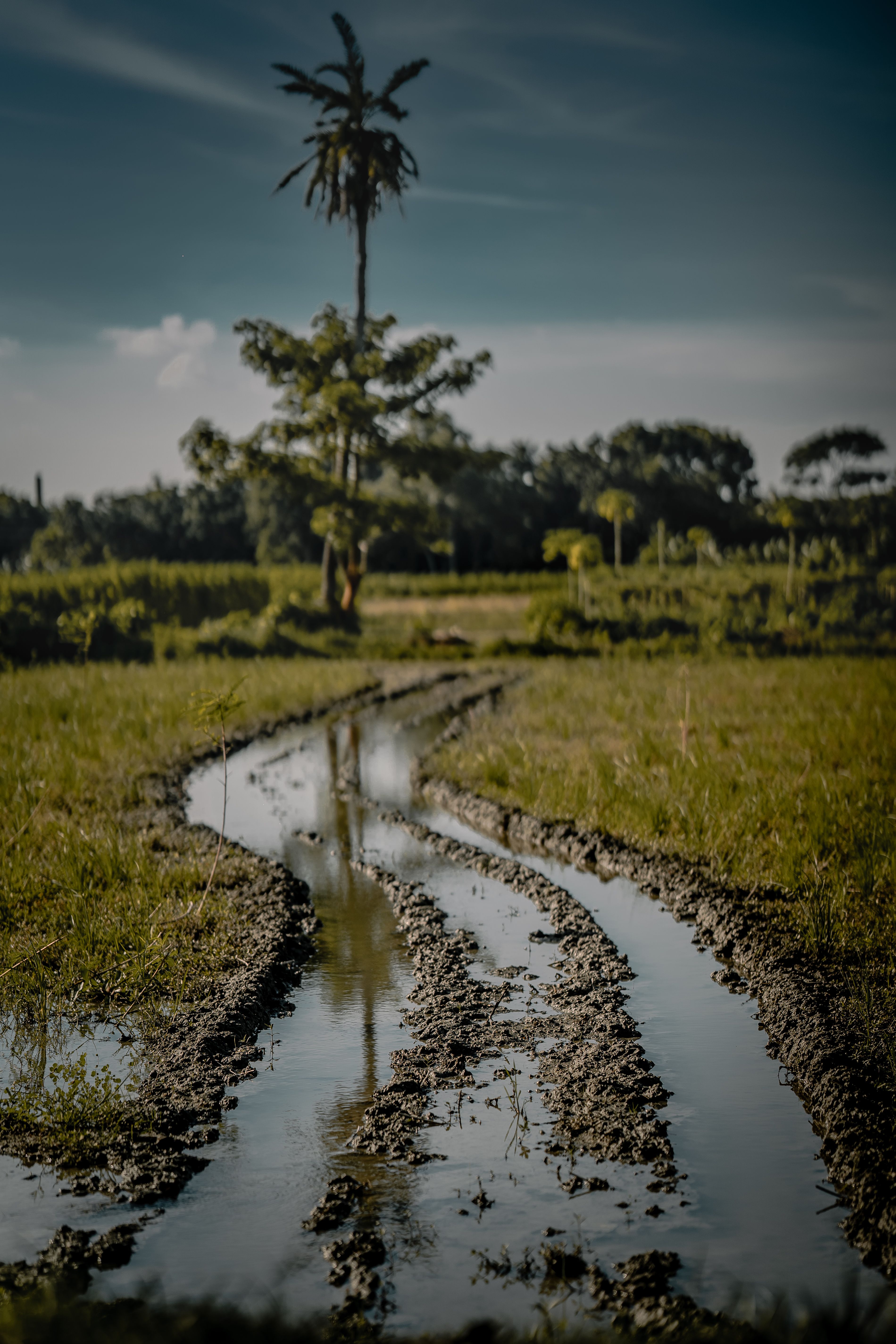 Serene Rural Landscape with Reflection · Free Stock Photo