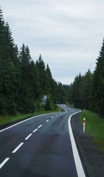 A winding road meanders through a lush, green forest in Poland, offering a serene and tranquil view.