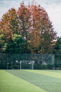Serene autumn scene featuring a soccer field and goalpost with vibrant fall foliage.