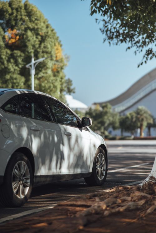 Free A white car parked on a tree-lined street with architectural background. Stock Photo