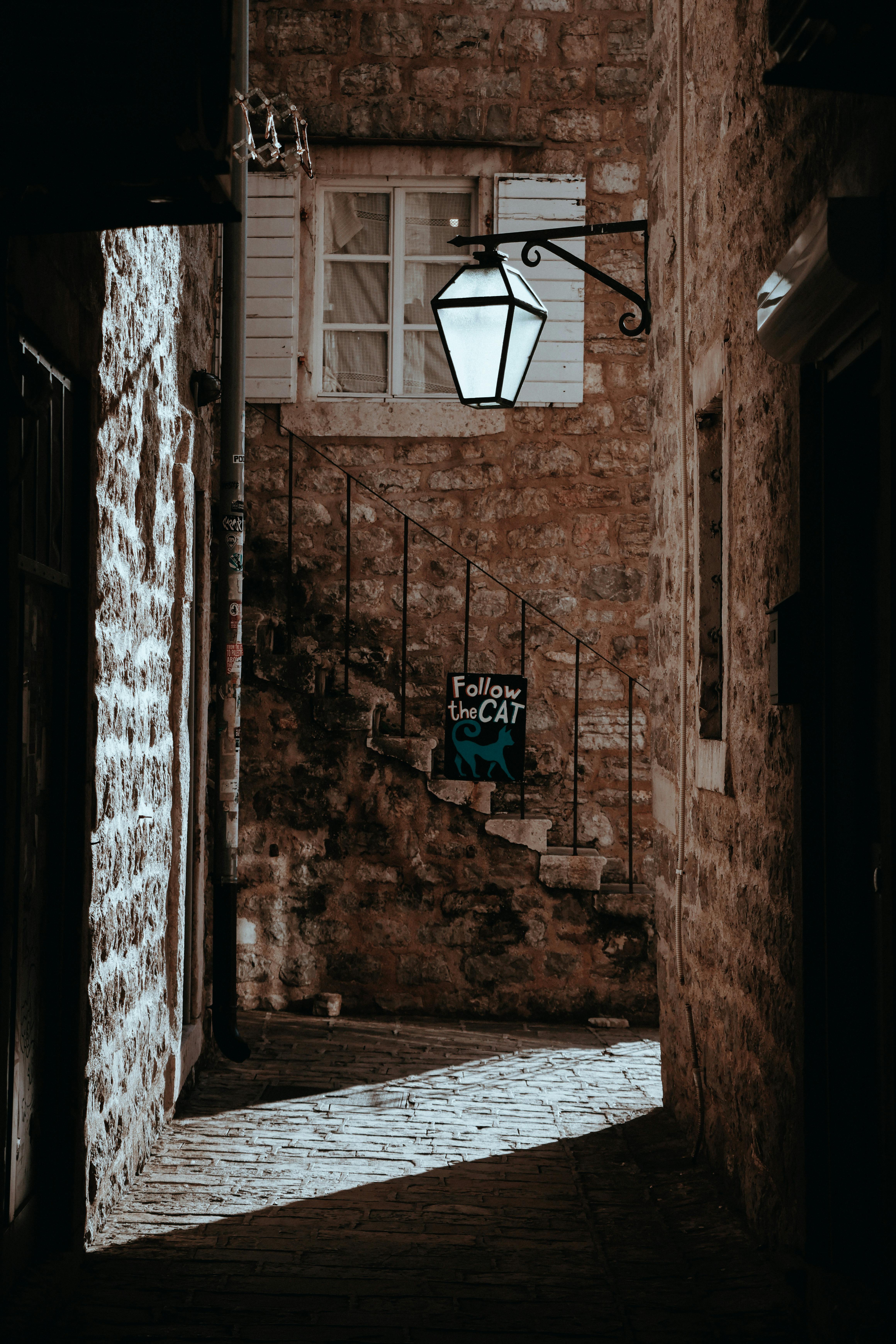 Gratuit Descoperiți o alee pitorească din Budva, Muntenegru, cu un semn jucăuș „Follow the Cat”. Fotografie de stoc