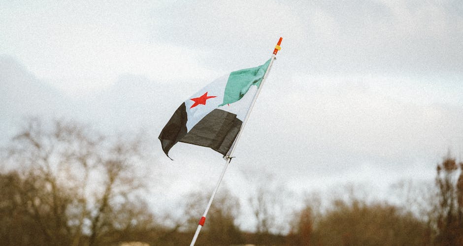 Political Context and Background