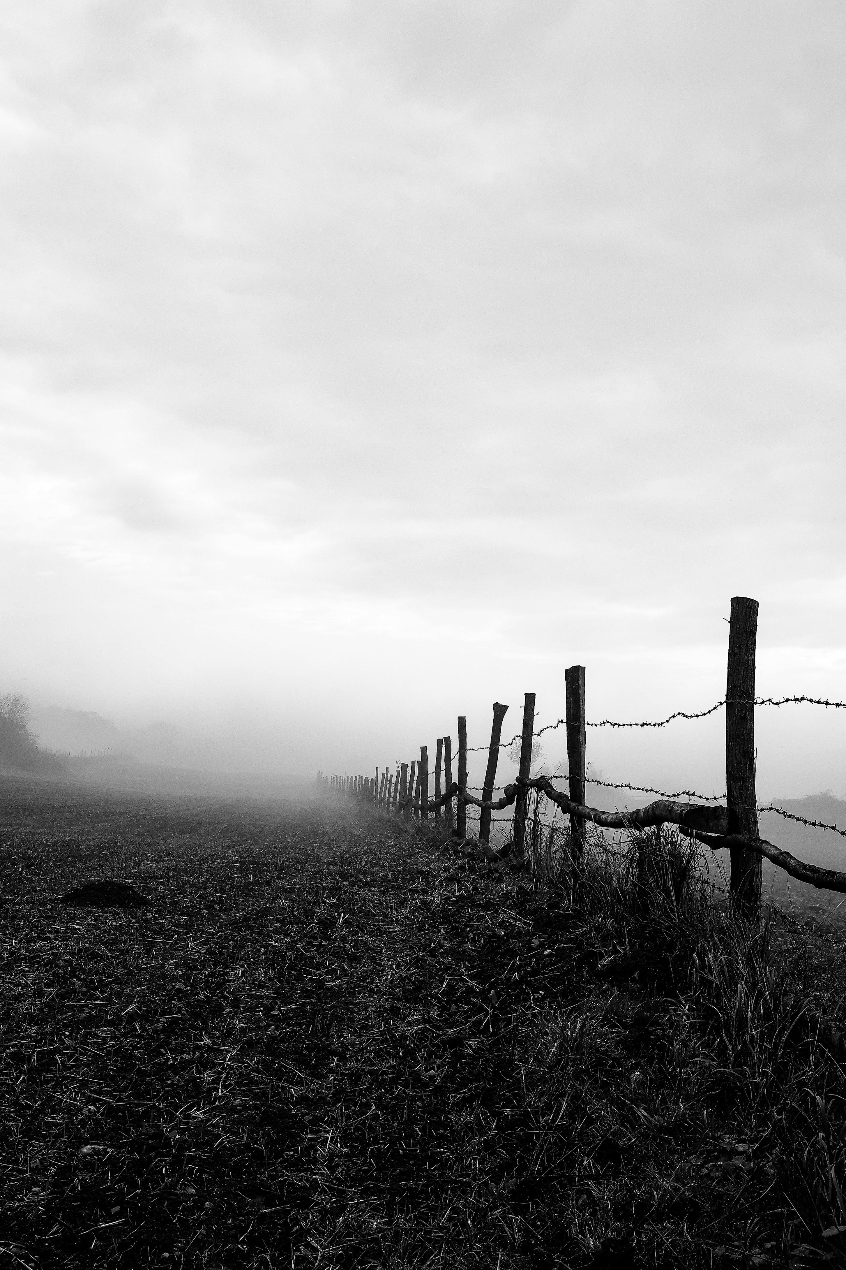 Black and white photo of a foggy field with a barbed wire fence in Bolu, Türkiye.
