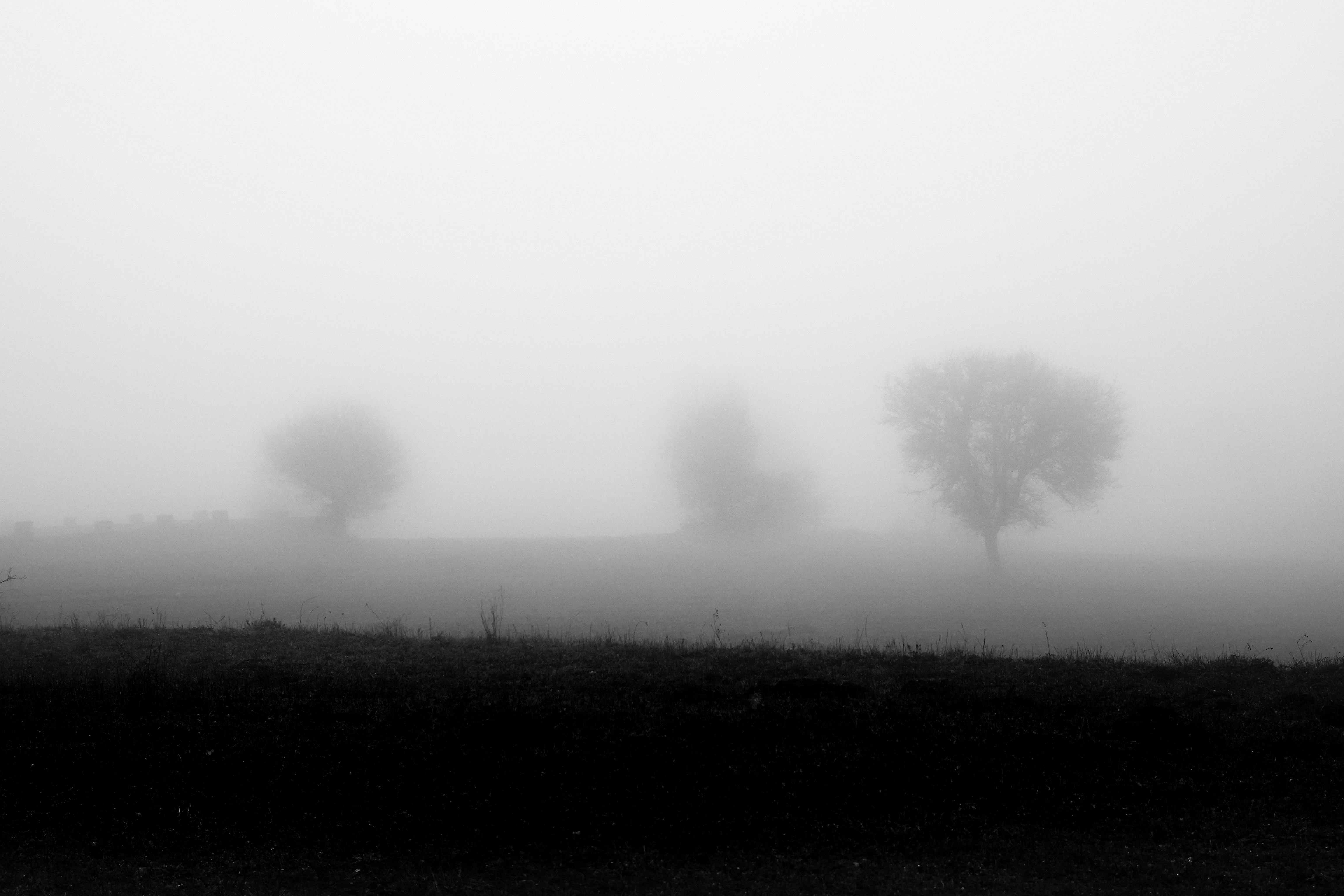 mysterious foggy landscape in bolu turkiye