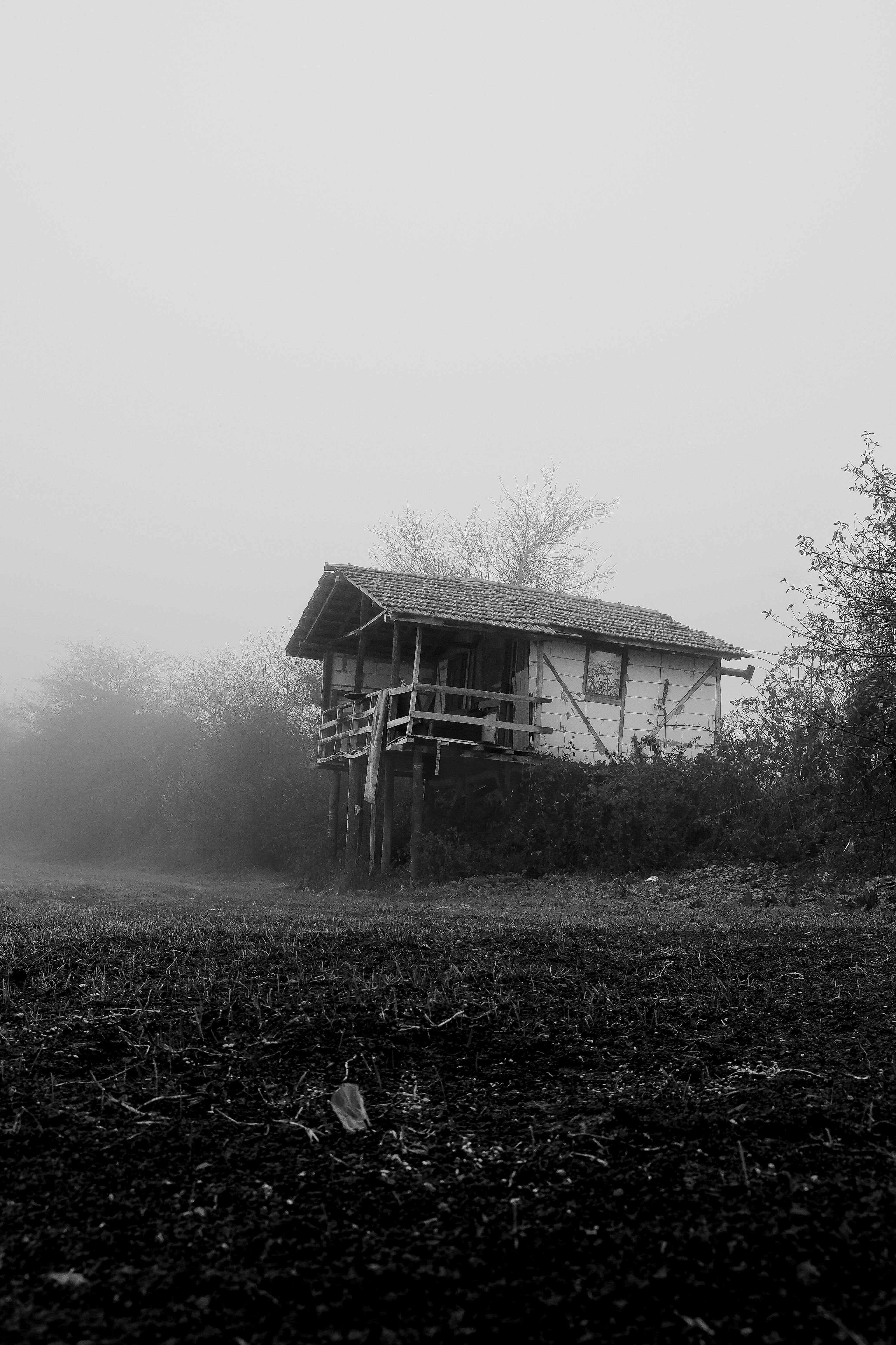 Black and white photo of a foggy forest cabin setting a mysterious ambiance in Bolu, Türkiye.