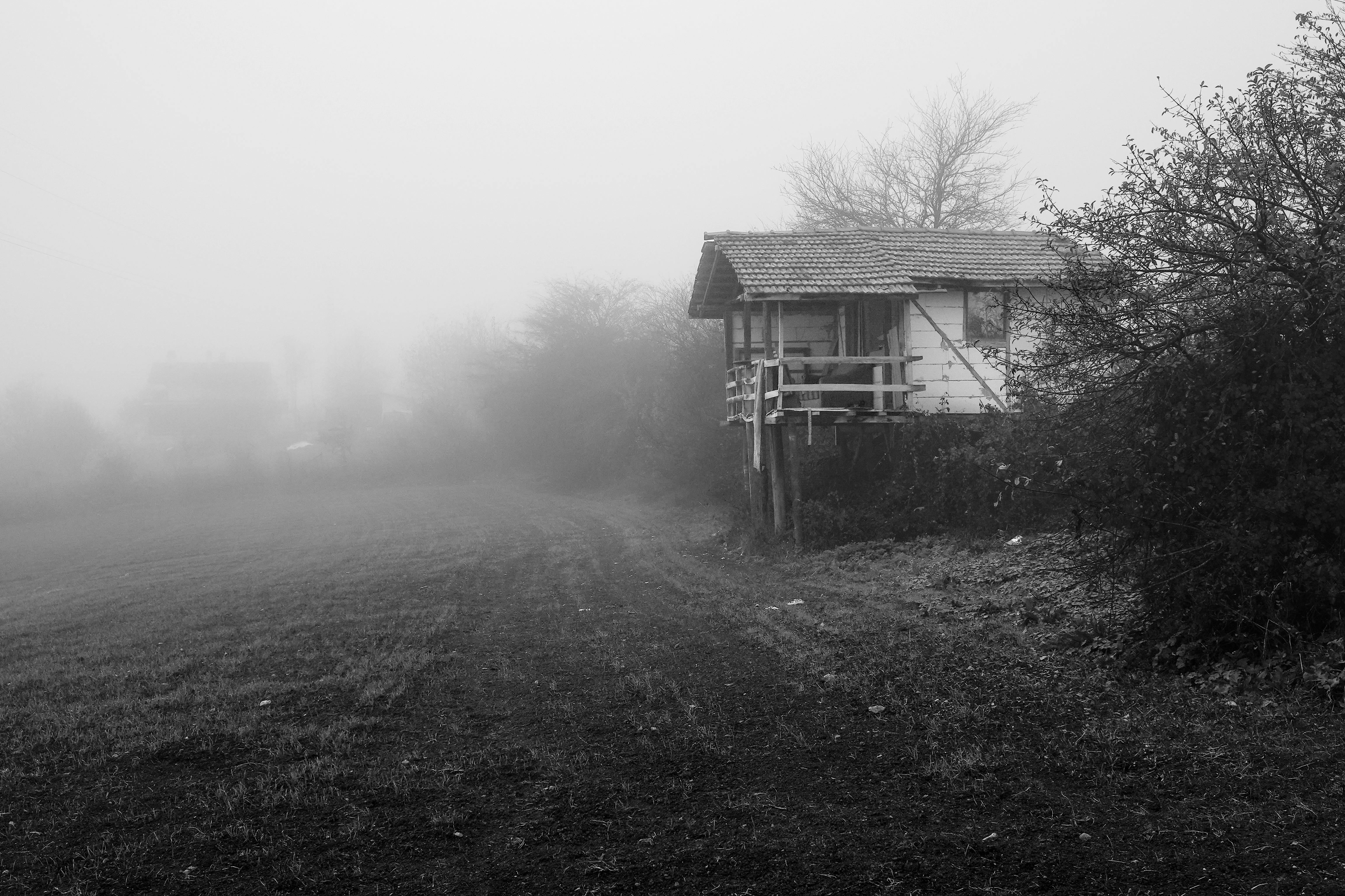 foggy landscape in bolu turkey with cottage