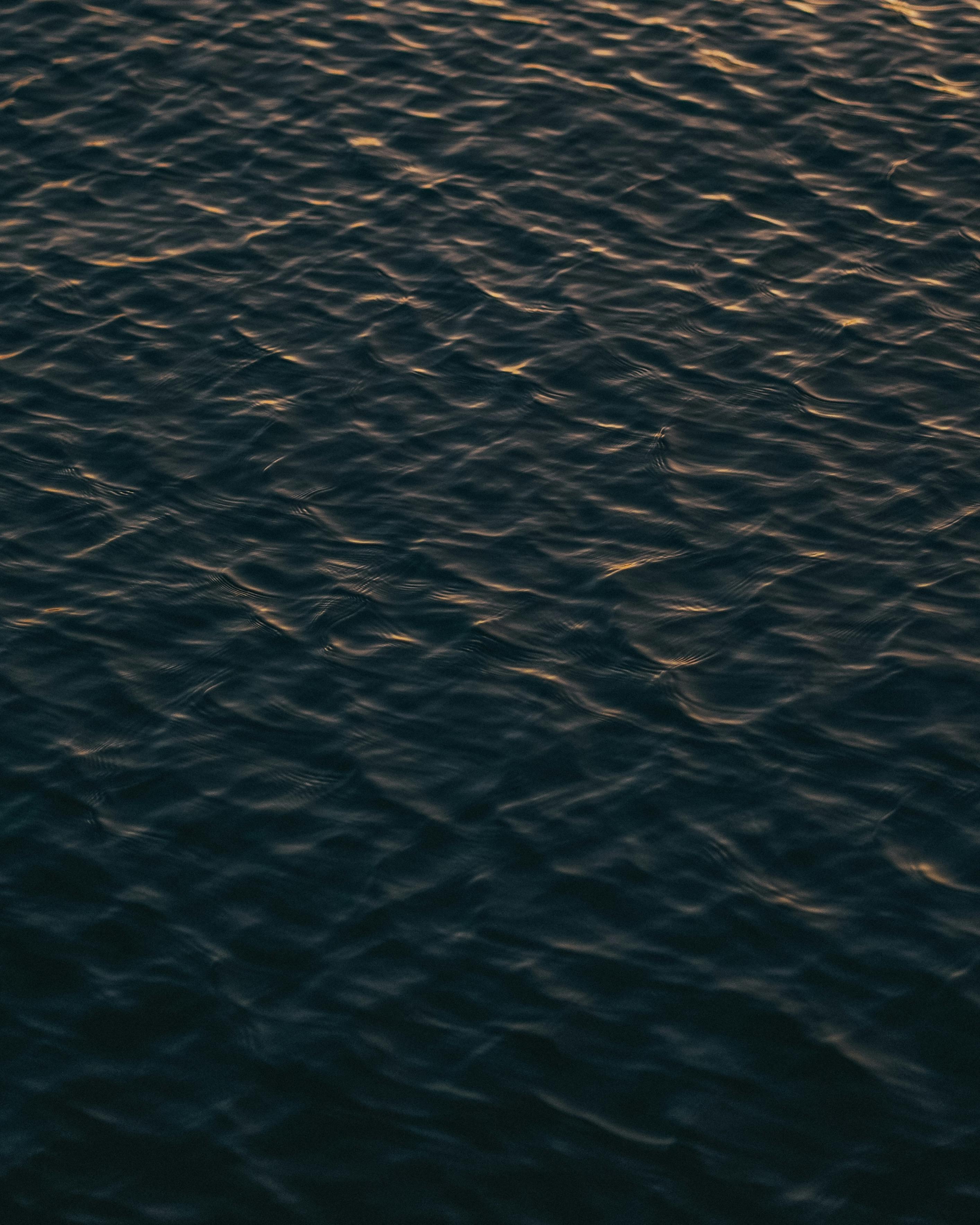 grátis Close de águas escuras e tranquilas com ondulações suaves criando um efeito calmante. Foto profissional