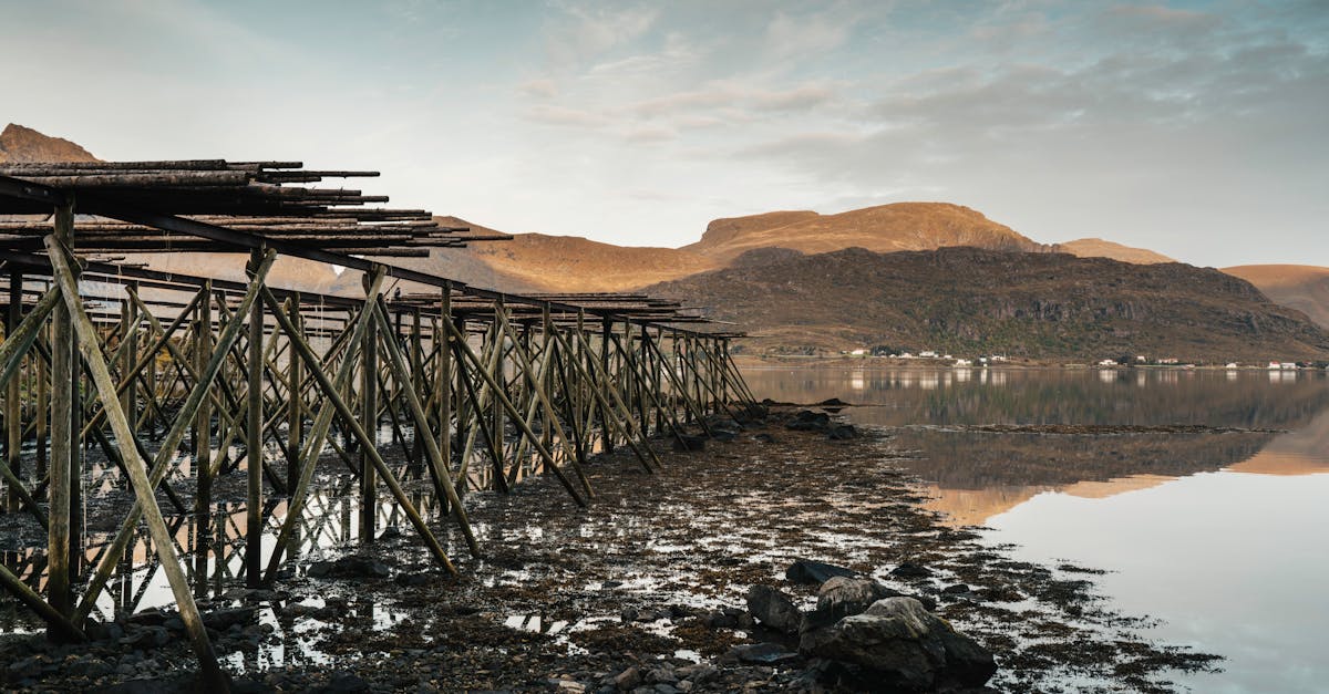 Traditional Norwegian Fish Drying Racks at Fjord · Free Stock Photo