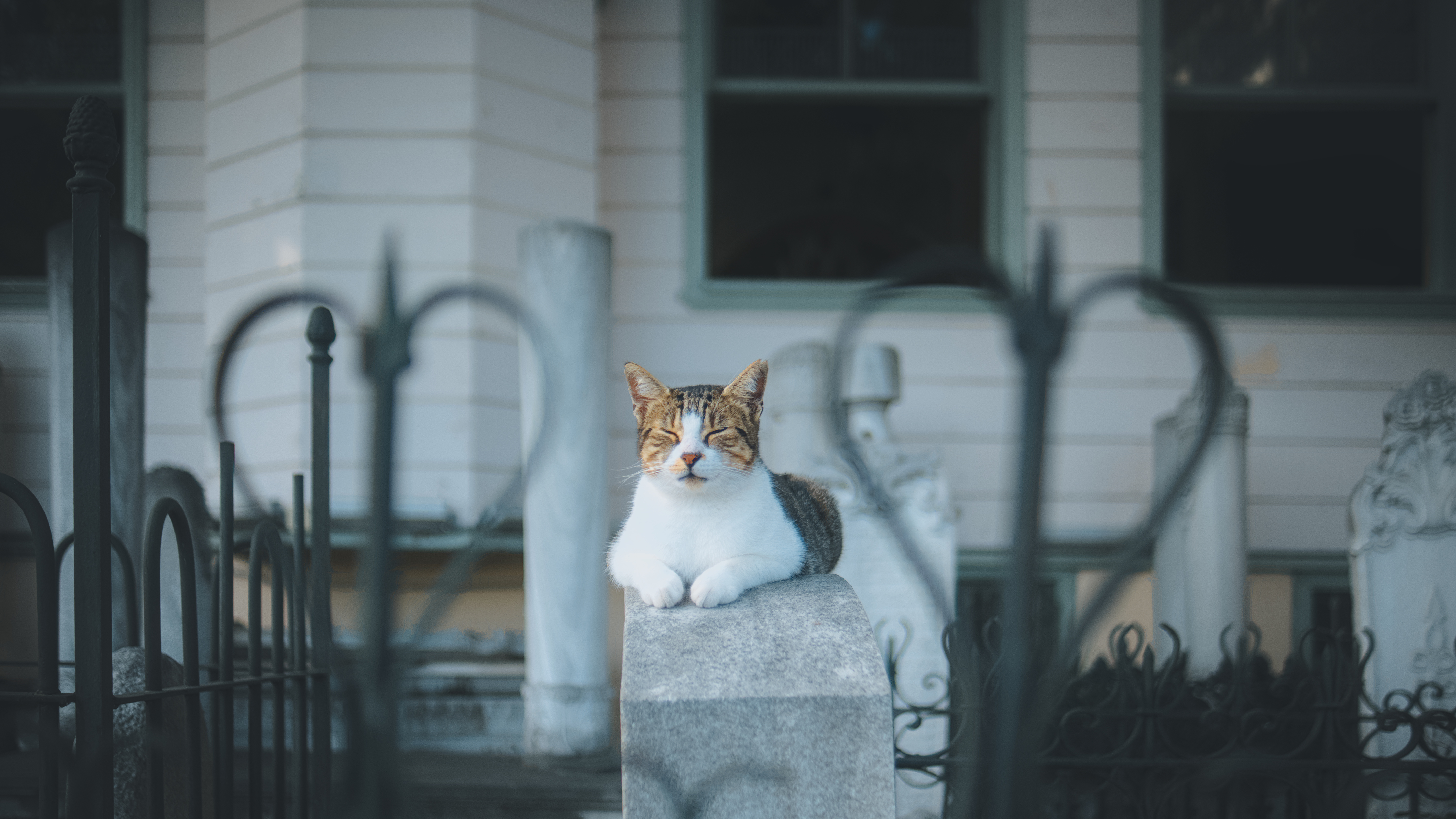 Ancient Palaces, a Cat Café, and KPop Demon Hunters—the Perfect Family Travel Itinerary for South Korea — Photo by Abdullah Ö
