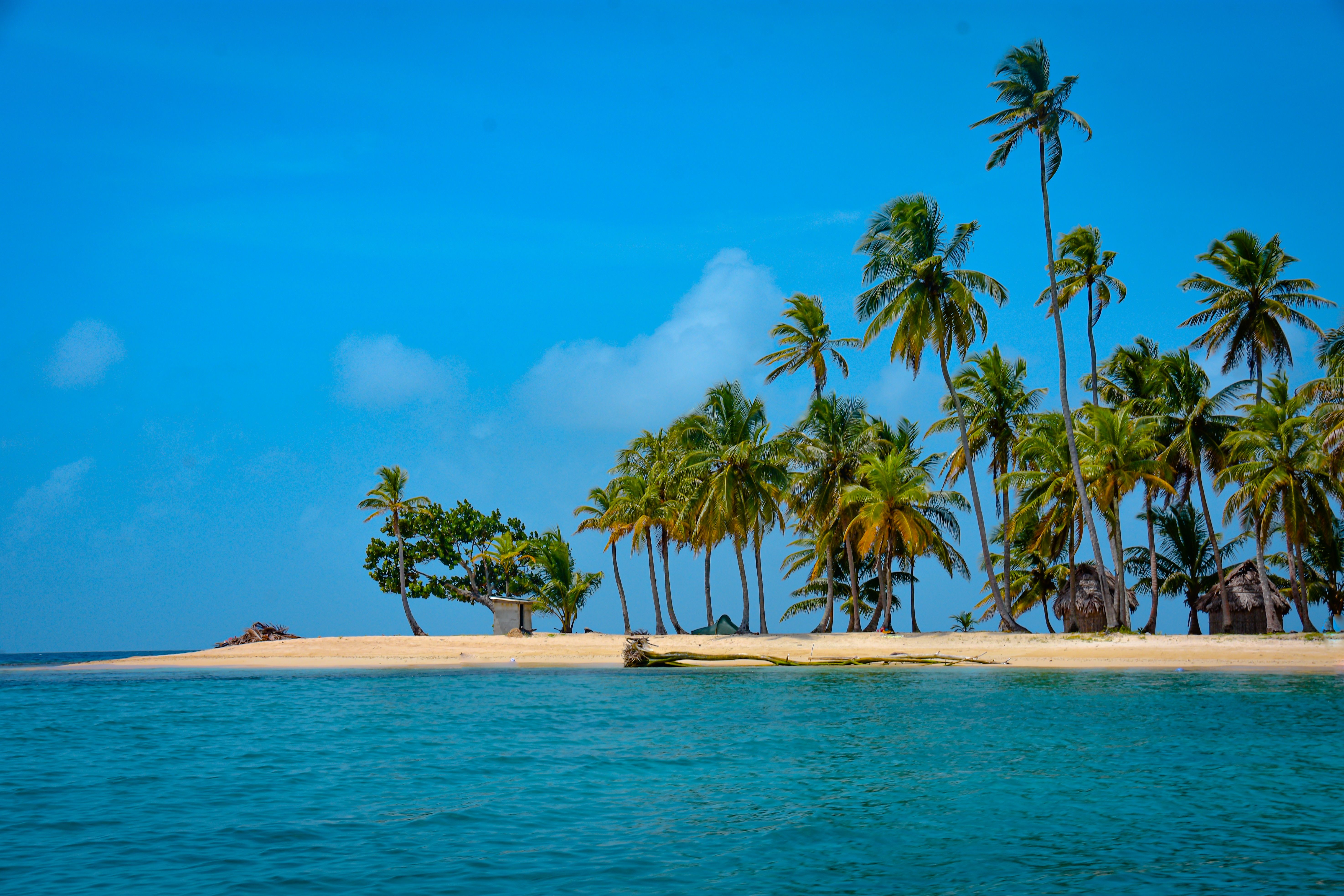 Tropical Island Paradise with Palm Trees and Blue Ocean · Free Stock Photo