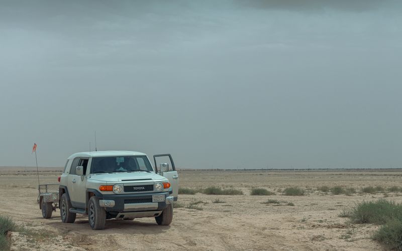 Desert Safari vs Dune Bashing: What