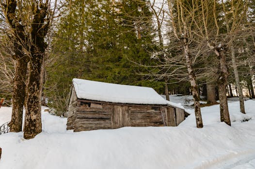 Rustic wooden cabin surrounded by snow in Cortina d'Ampezzo, Italy.