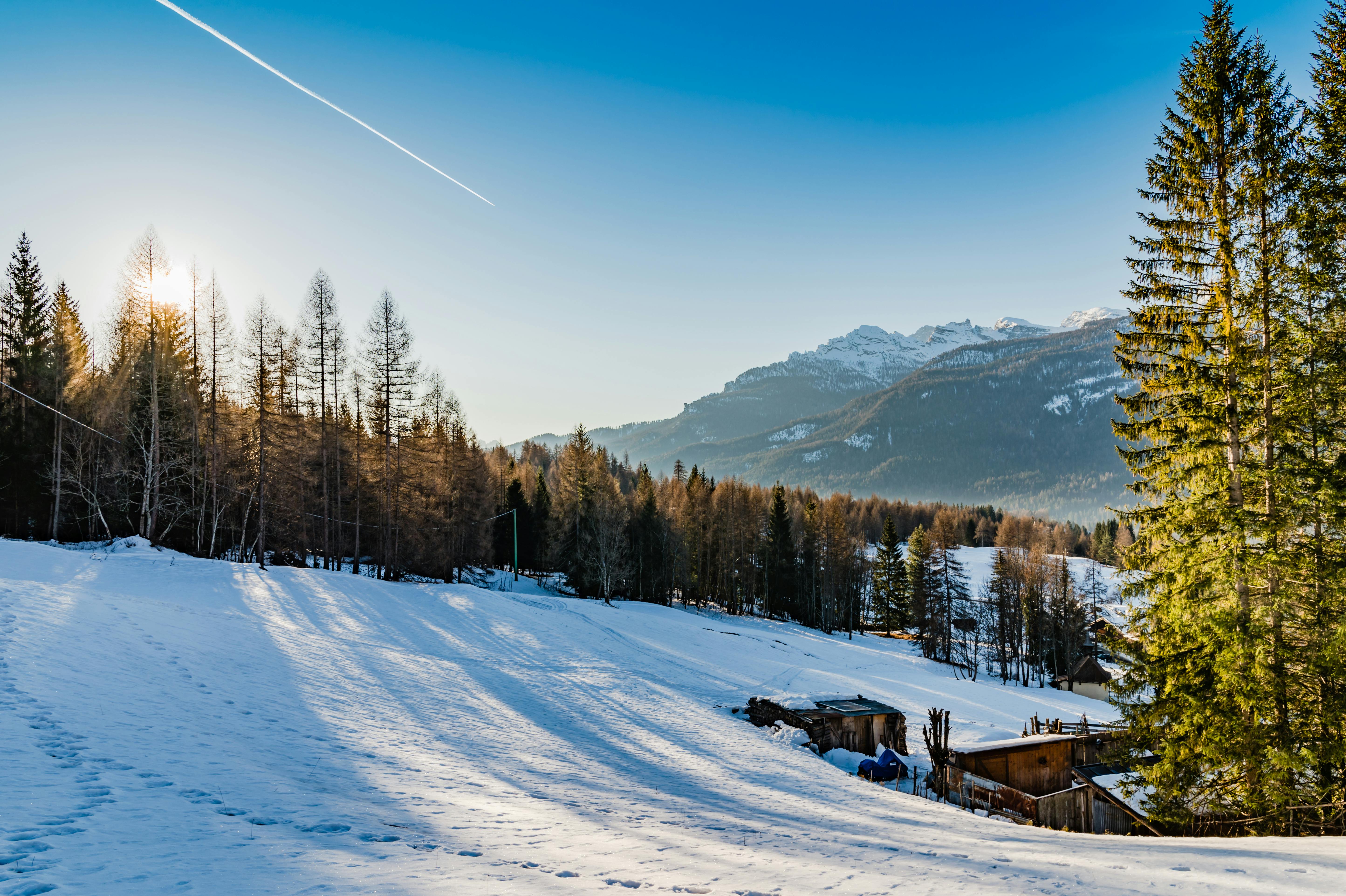 Idyllic winter scene in Cortina d'Ampezzo with snowy mountains and pine trees.