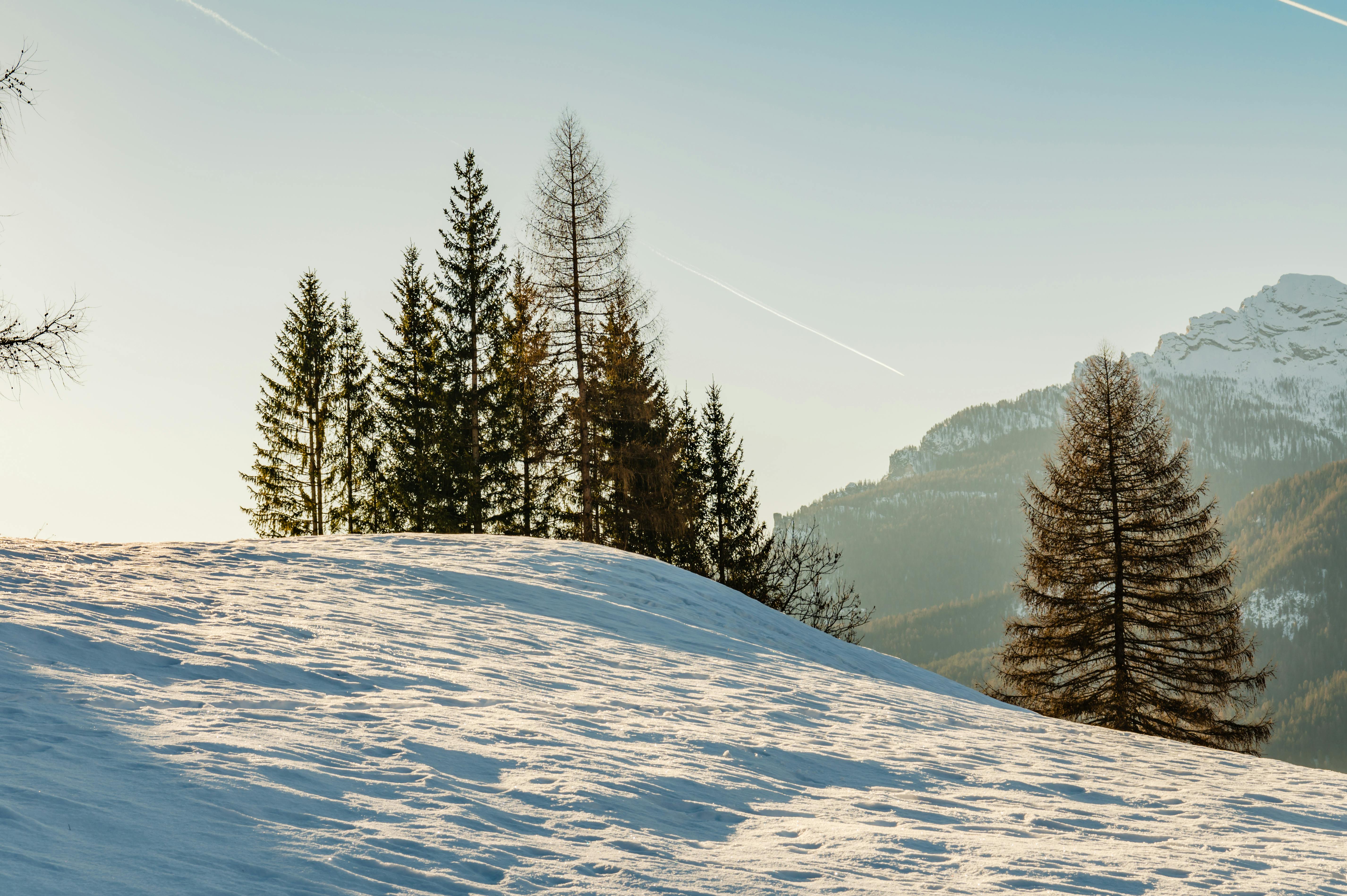 Prescription Goggle Inserts - Scenic winter view of snow-covered trees and distant mountains in Cortina d'Ampezzo, Italy.