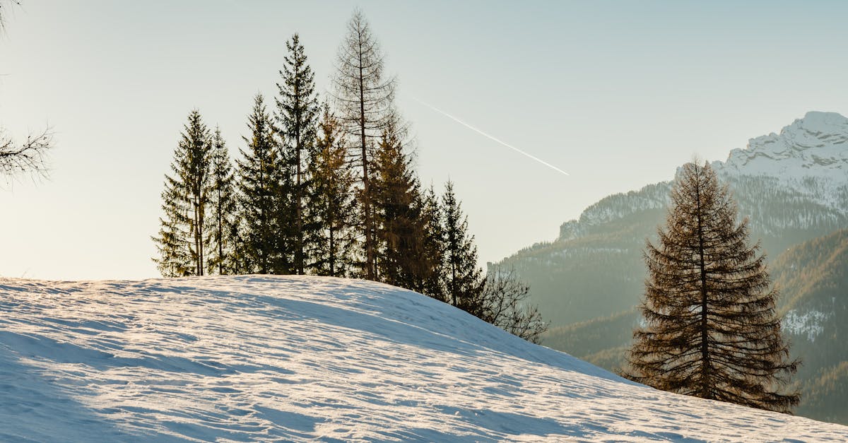 🔥 必看!2026米兰冬奥会最新消息来啦!⛷️🌟 🔥 必看!2026米兰冬奥会最新消息来啦!⛷️🌟