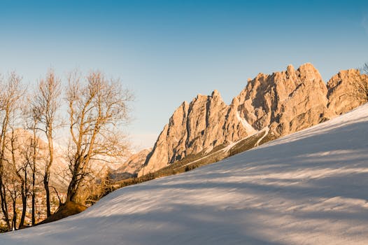Beautiful snowy landscape of the Dolomites in Cortina d'Ampezzo, Italy, showcasing bare trees and rocky peaks.
