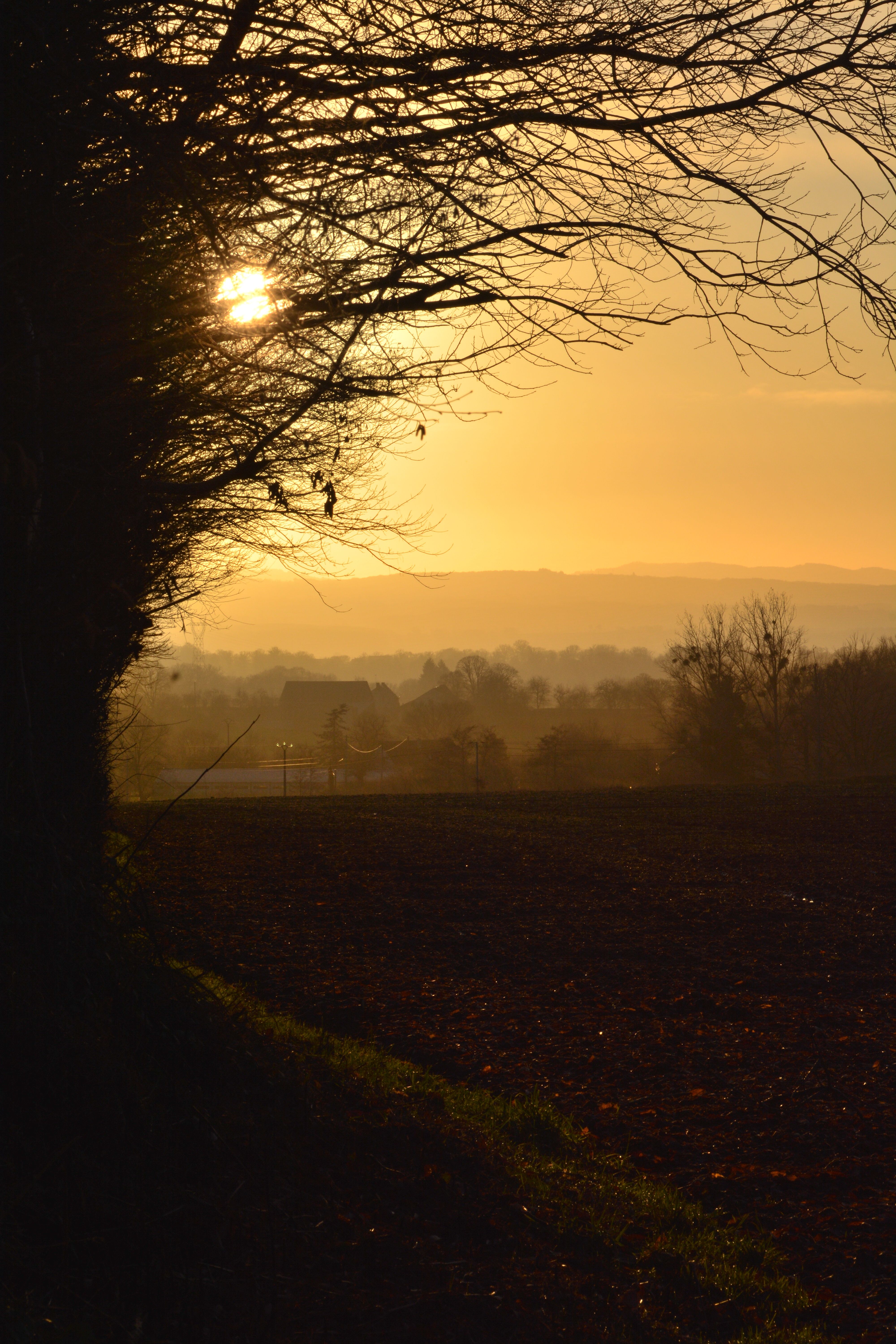 Golden sunset illuminating a peaceful rural landscape with silhouetted trees.