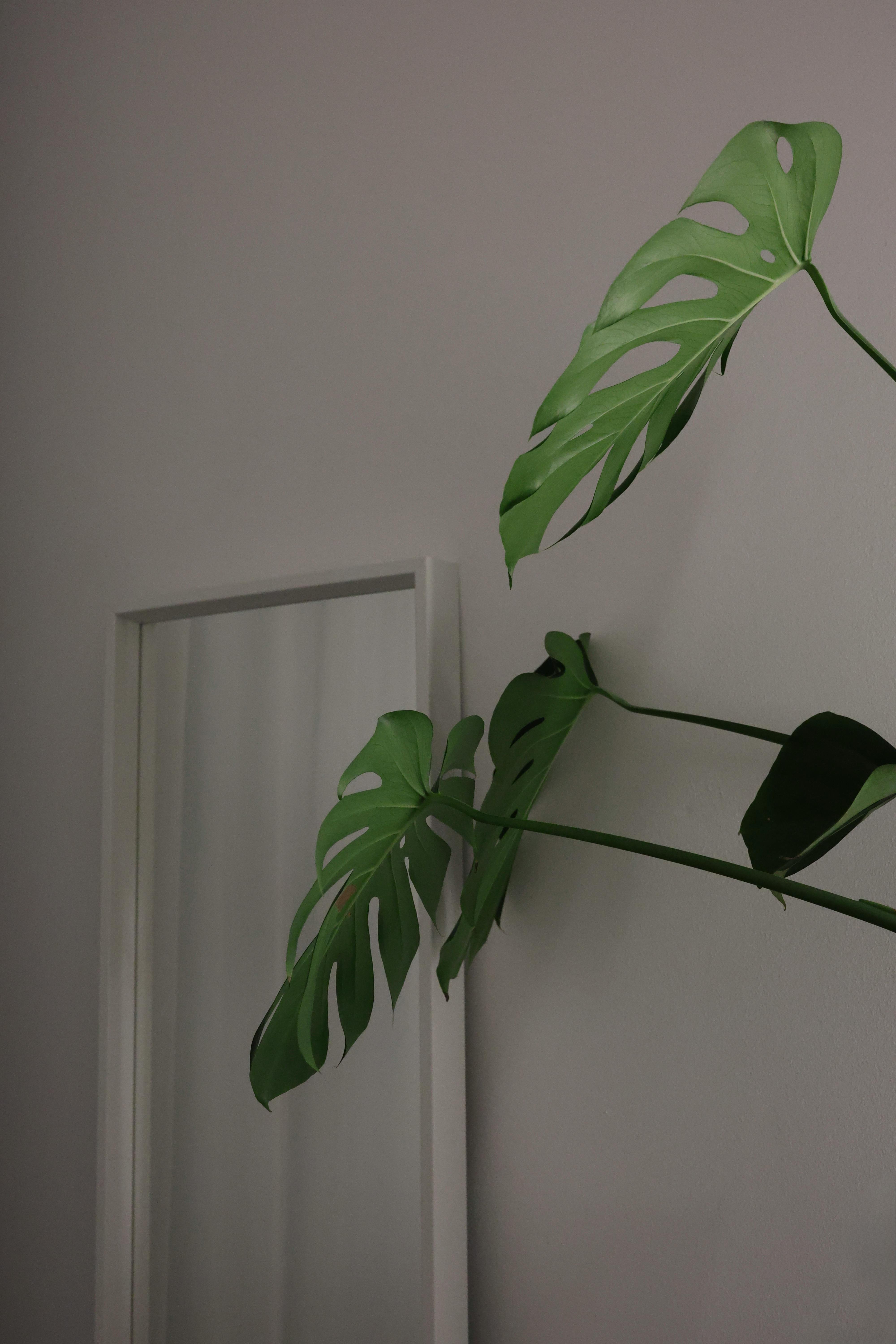 【個人品牌定位】找到你的獨特價值，自媒體經營打造無人能取代的個人品牌力量圖片