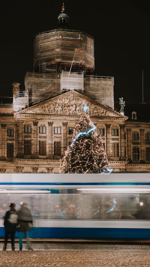 Free Christmas tree adorned with lights outside a historic building at night with a tram passing by. Stock Photo