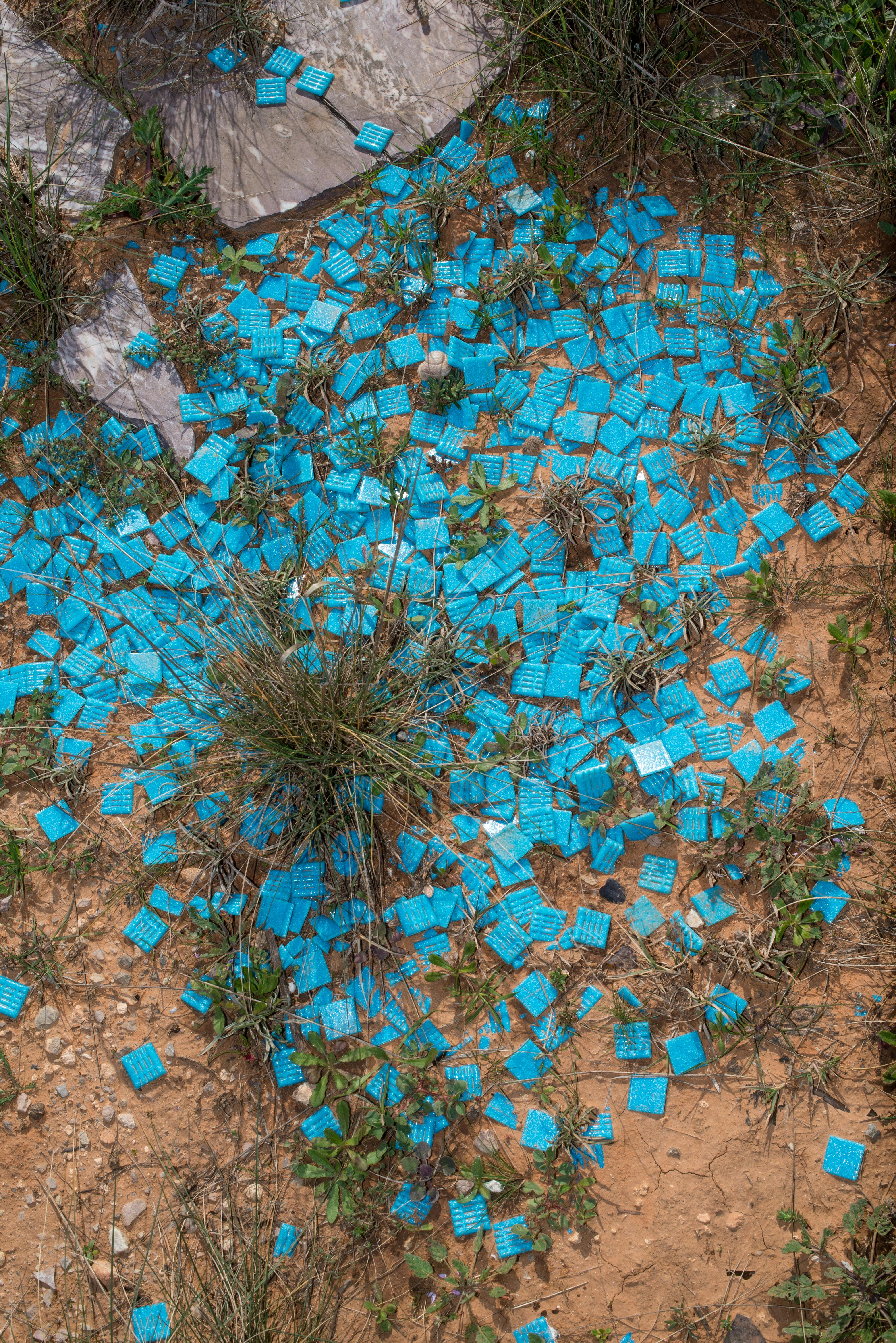 scattered blue capsules on earthy terrain