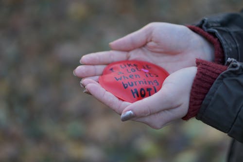 Free stock photo of cold, hands, heart
