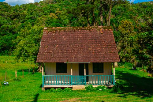 Free Charming rustic cabin surrounded by vibrant green forest and lush landscape. Stock Photo