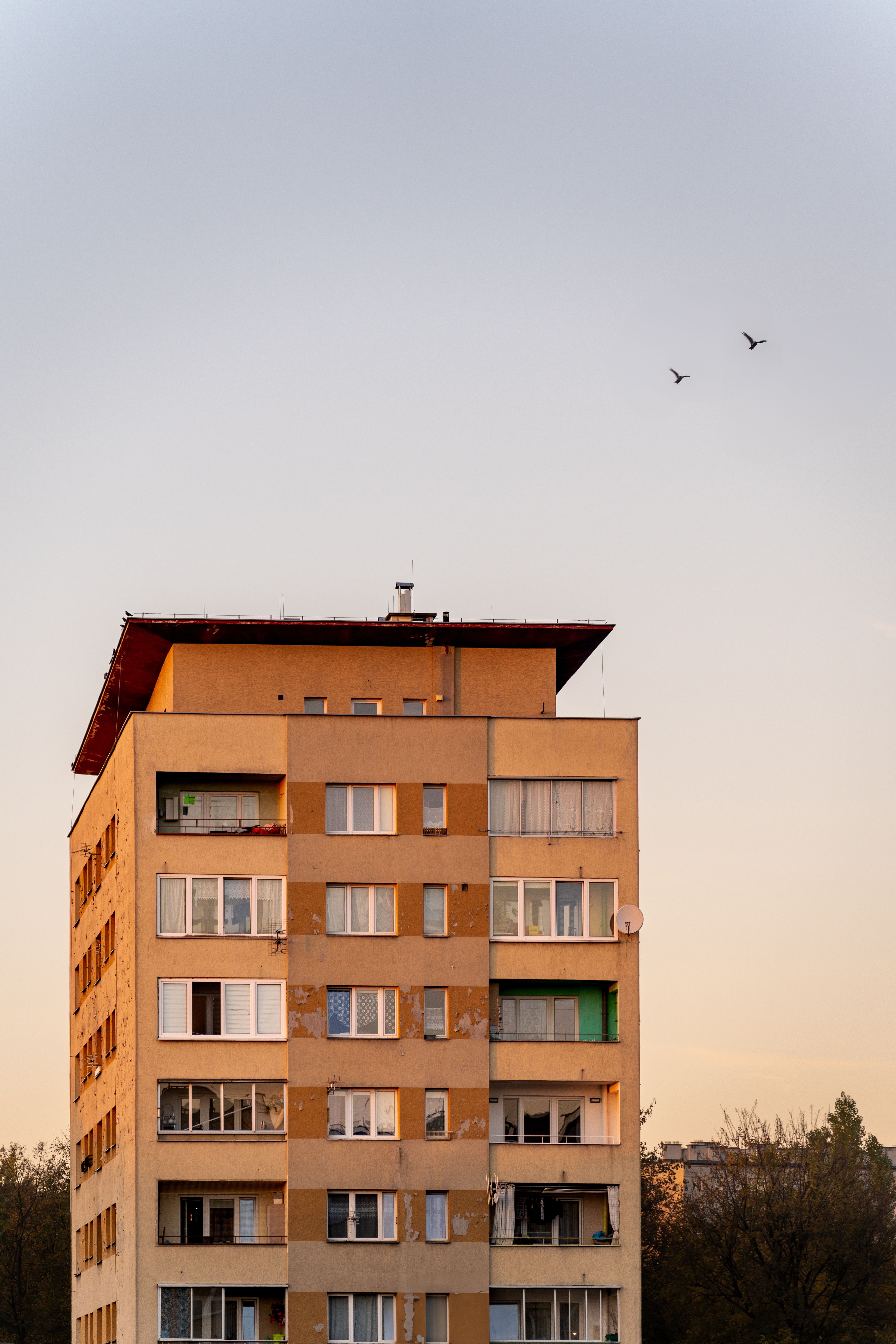 Urban Apartment Building at Sunset with Birds · Free Stock Photo