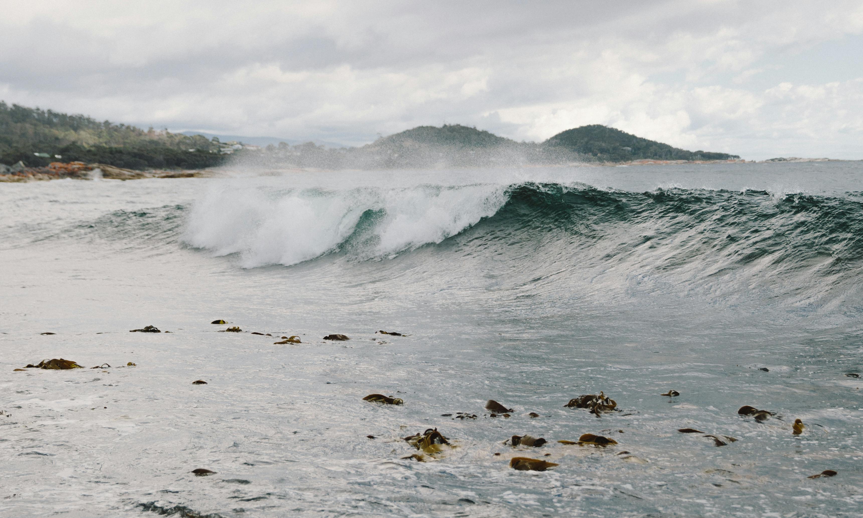 Dynamic ocean wave crashing near Bicheno, Tasmania, a serene coastal view.