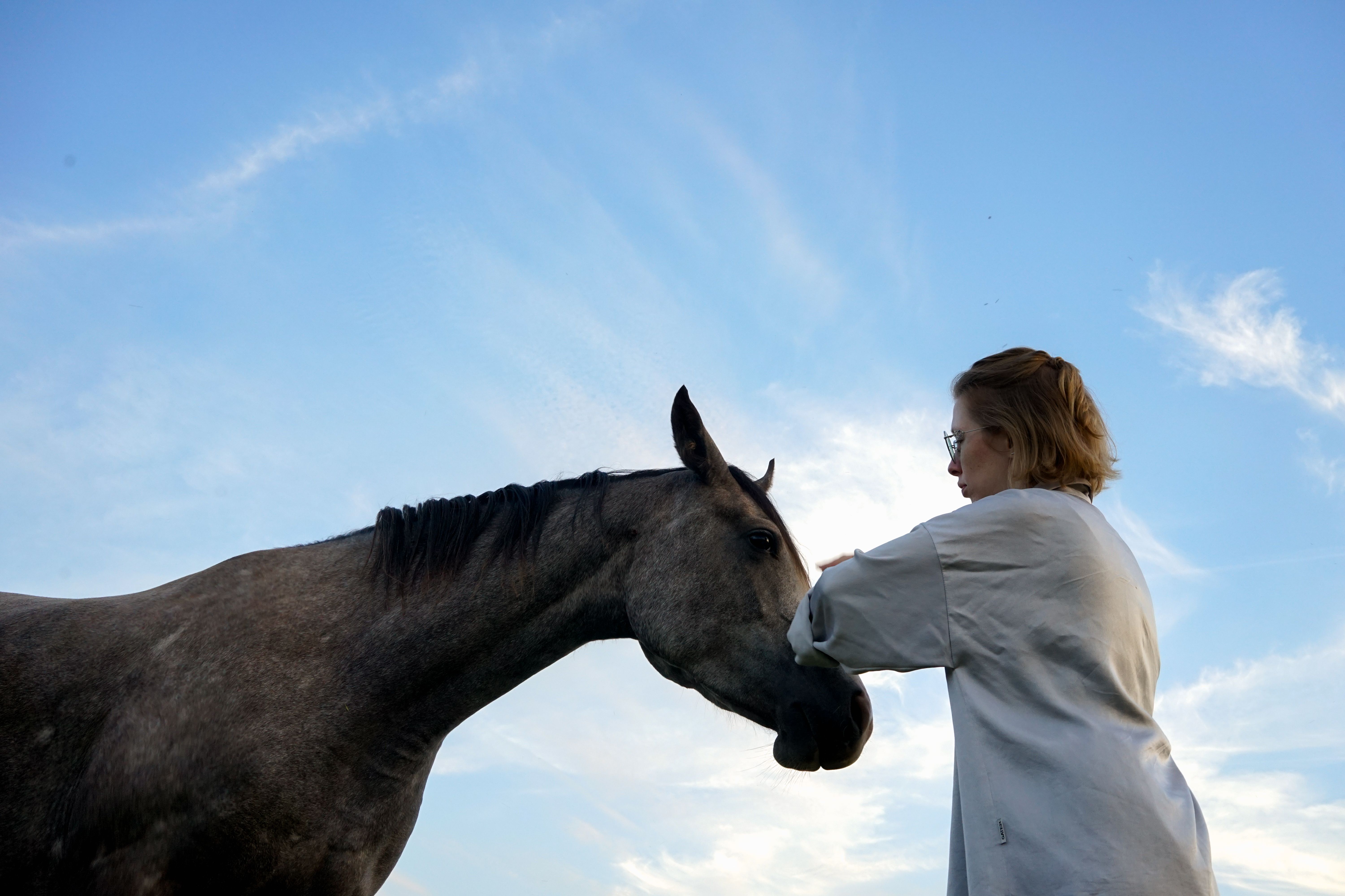 A woman participating in an equine therapy session at a mental health retreat - women mental health retreat