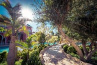 一条风景优美的路径穿过热带树林，旁边是阳光明媚的度假泳池，非常适合度假