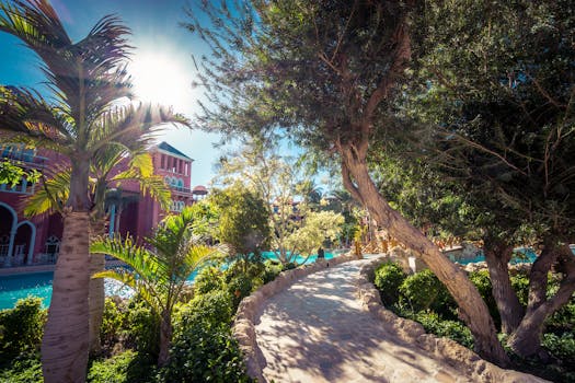 一条风景优美的路径穿过热带树林，旁边是阳光明媚的度假泳池，非常适合度假