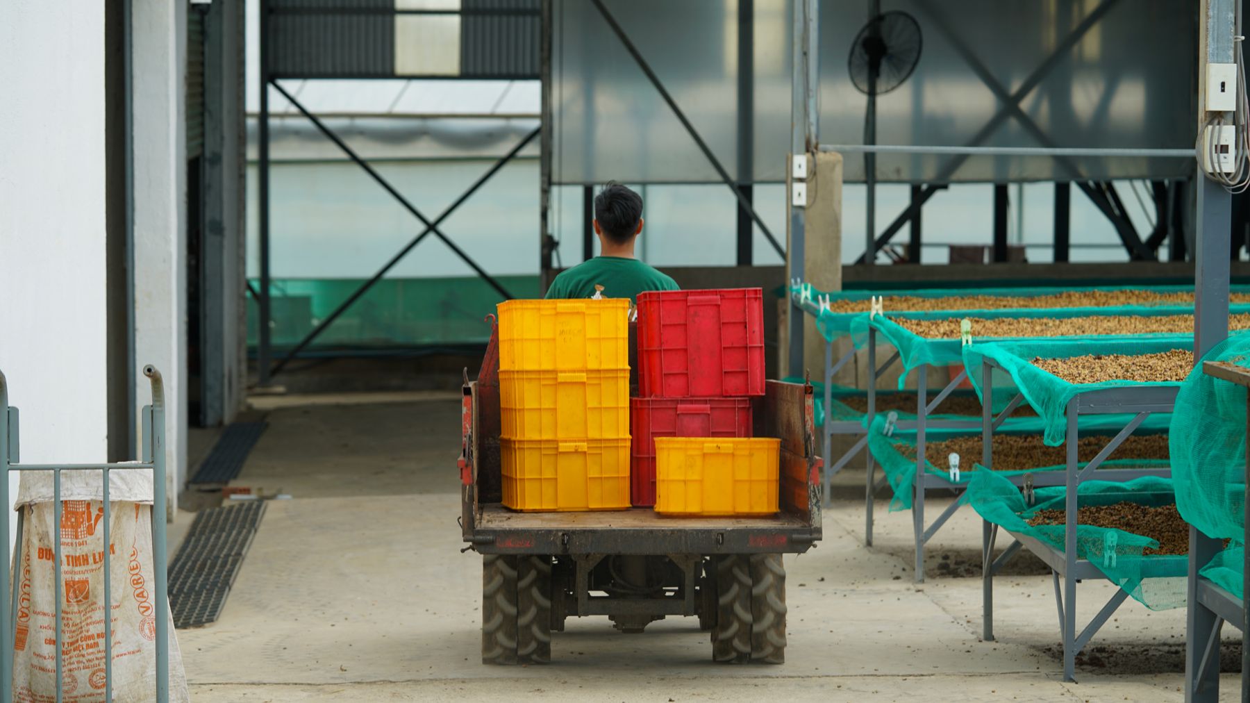 Coffee beans are processed in a modern warehouse in Lâm Đồng, Vietnam.