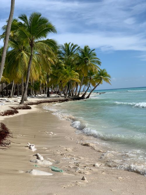 Free Idyllic tropical beach with palm trees and clear blue sea waves. Perfect summer escape. Stock Photo