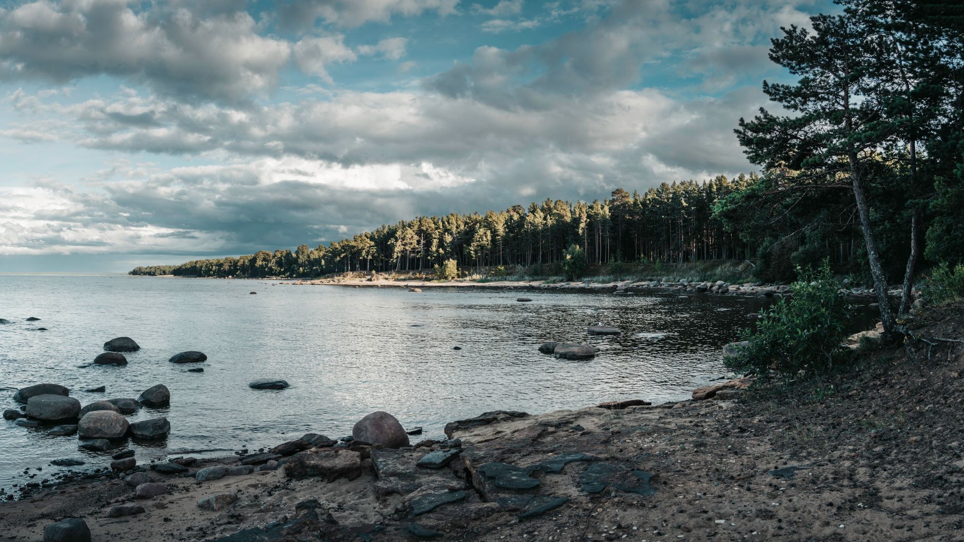 Peaceful seaside view with rocks and pine forest under cloudy sky.