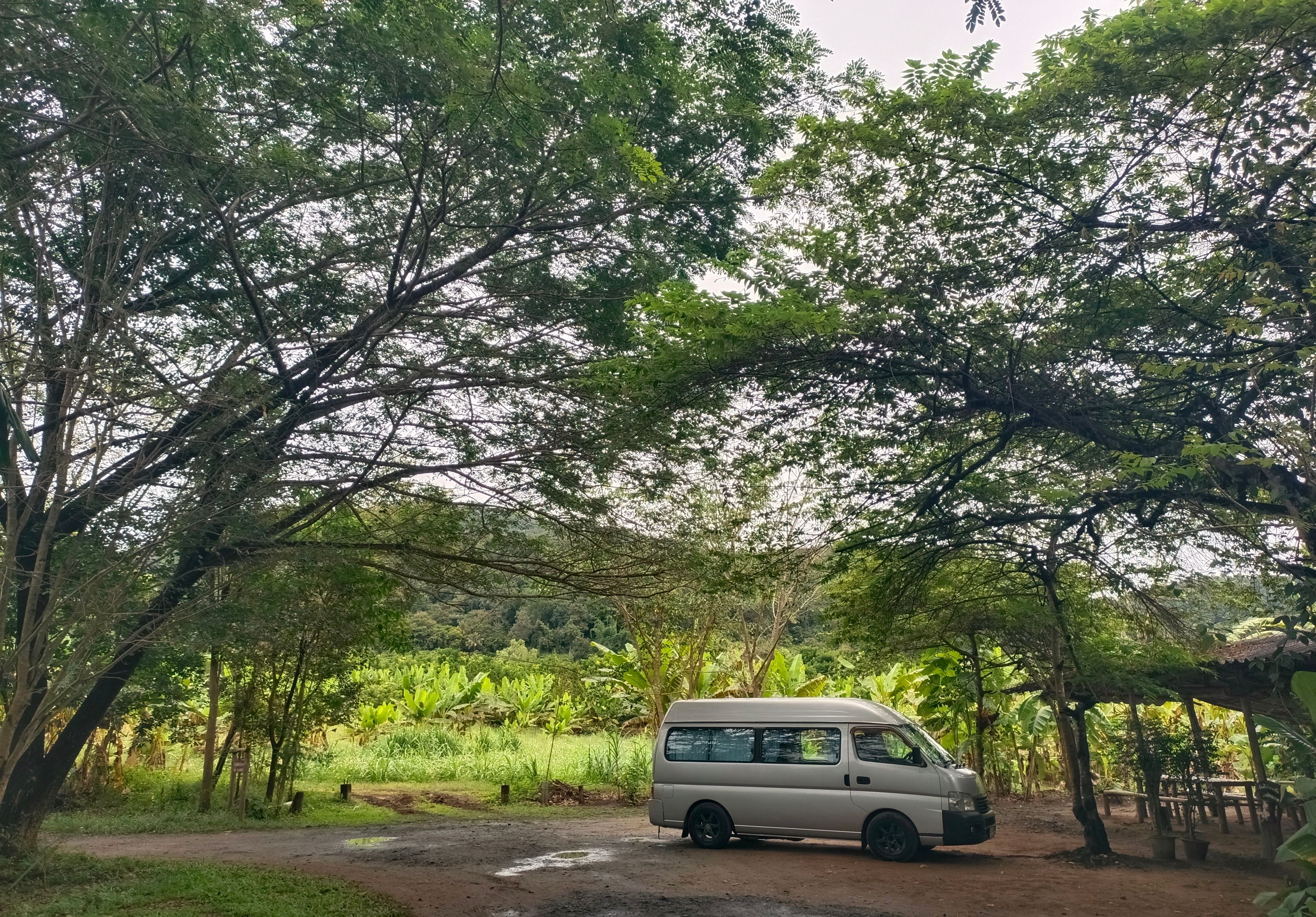 Getting Around Dominica on a Budget — Dominica travel guide photo