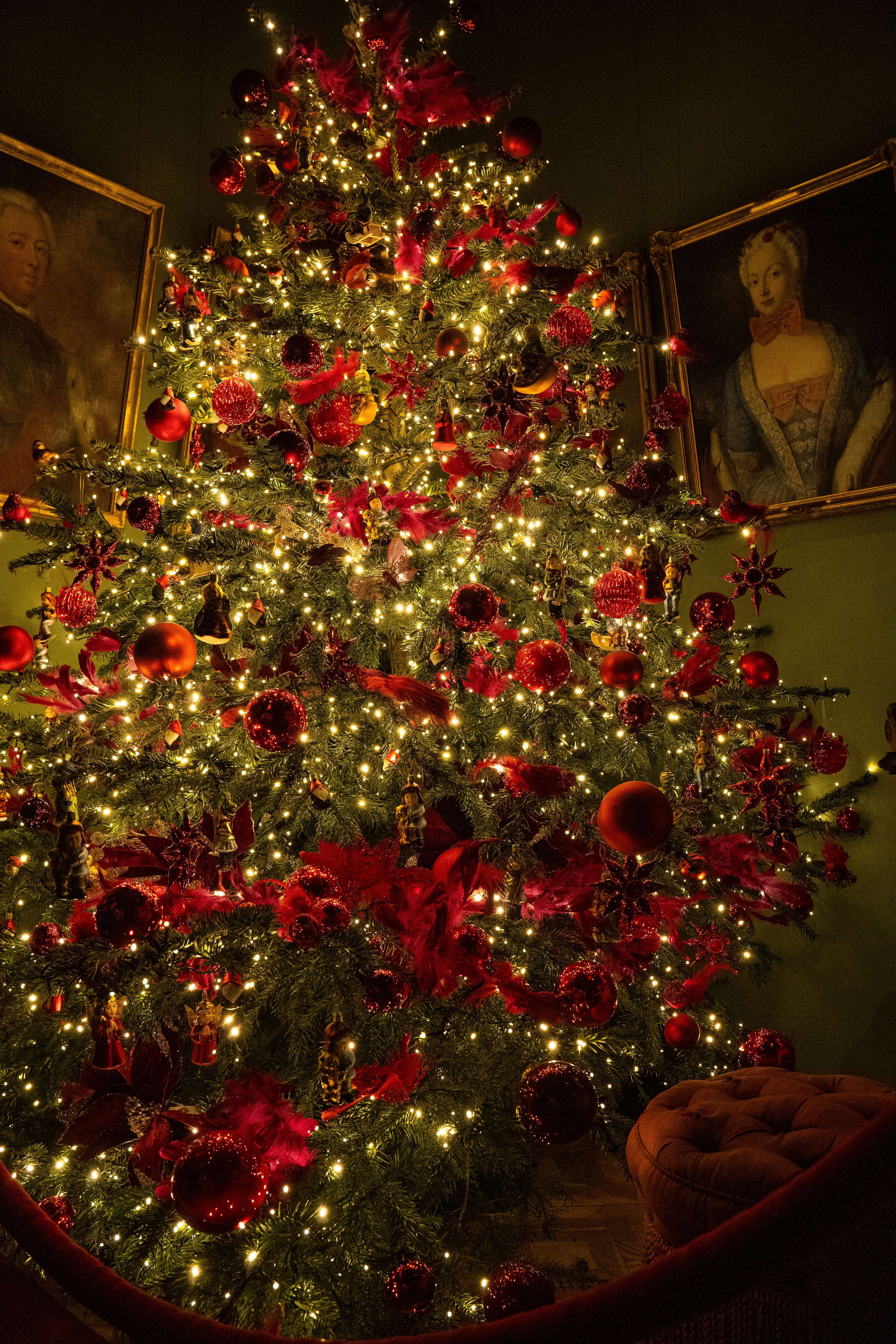 Green Christmas Tree With Red Baubles and String Lights · Free Stock Photo