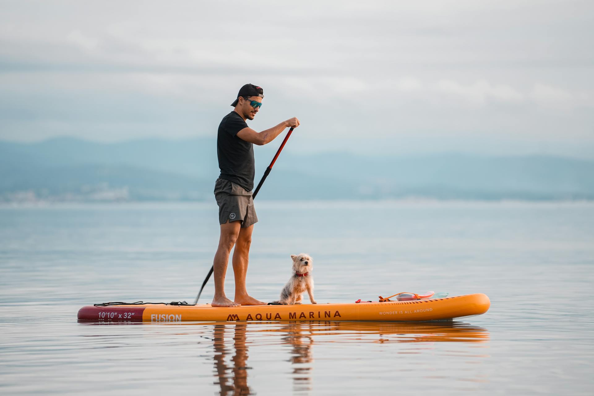 Man paddleboarding with a dog on calm waters in Altinoluk, Türkiye.