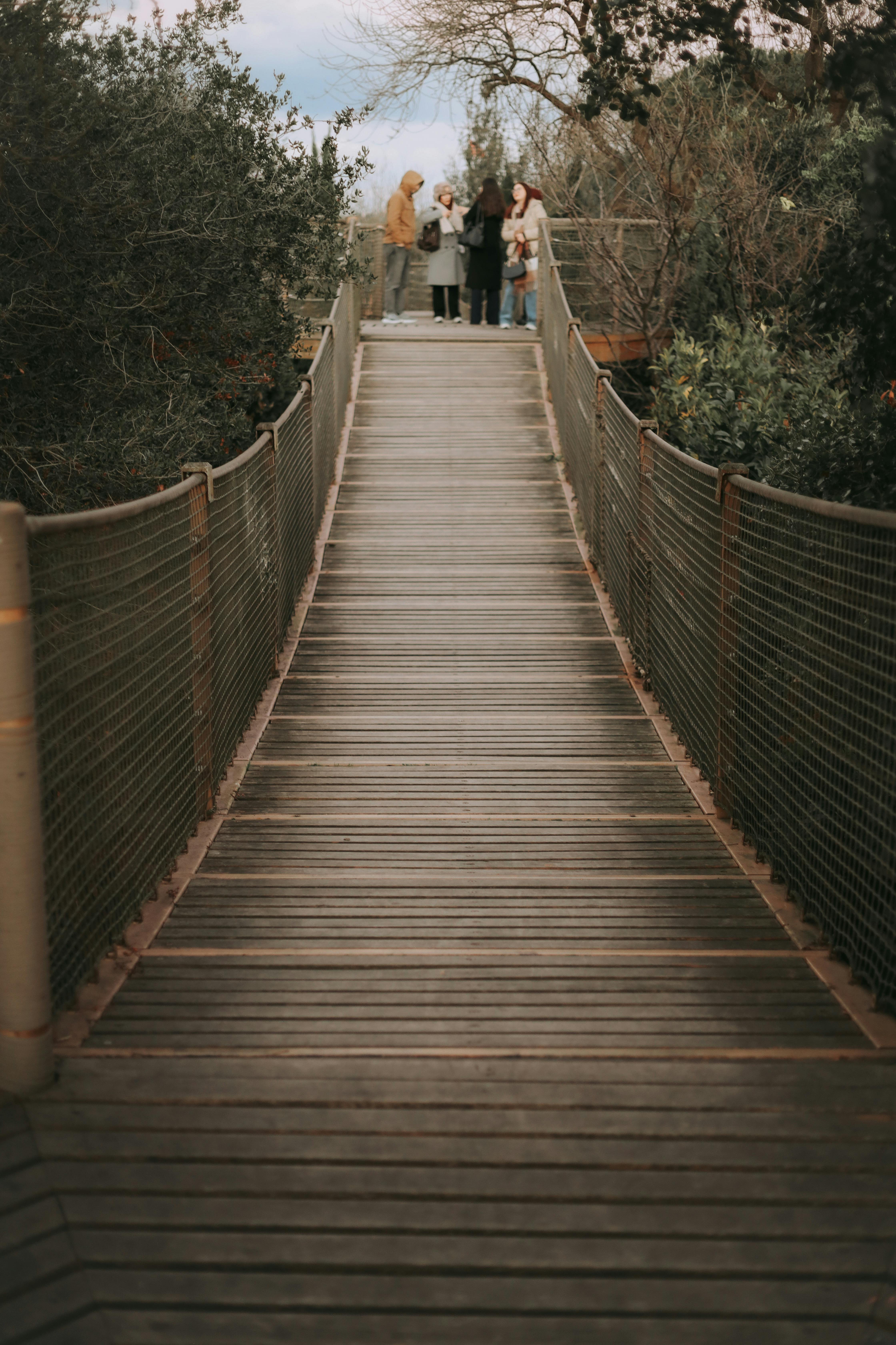 scenic wooden bridge pathway through forest