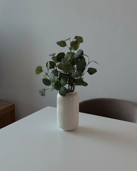 现代白色桌子上的肋状花瓶中插着优雅的桉树叶。 - 相关推荐