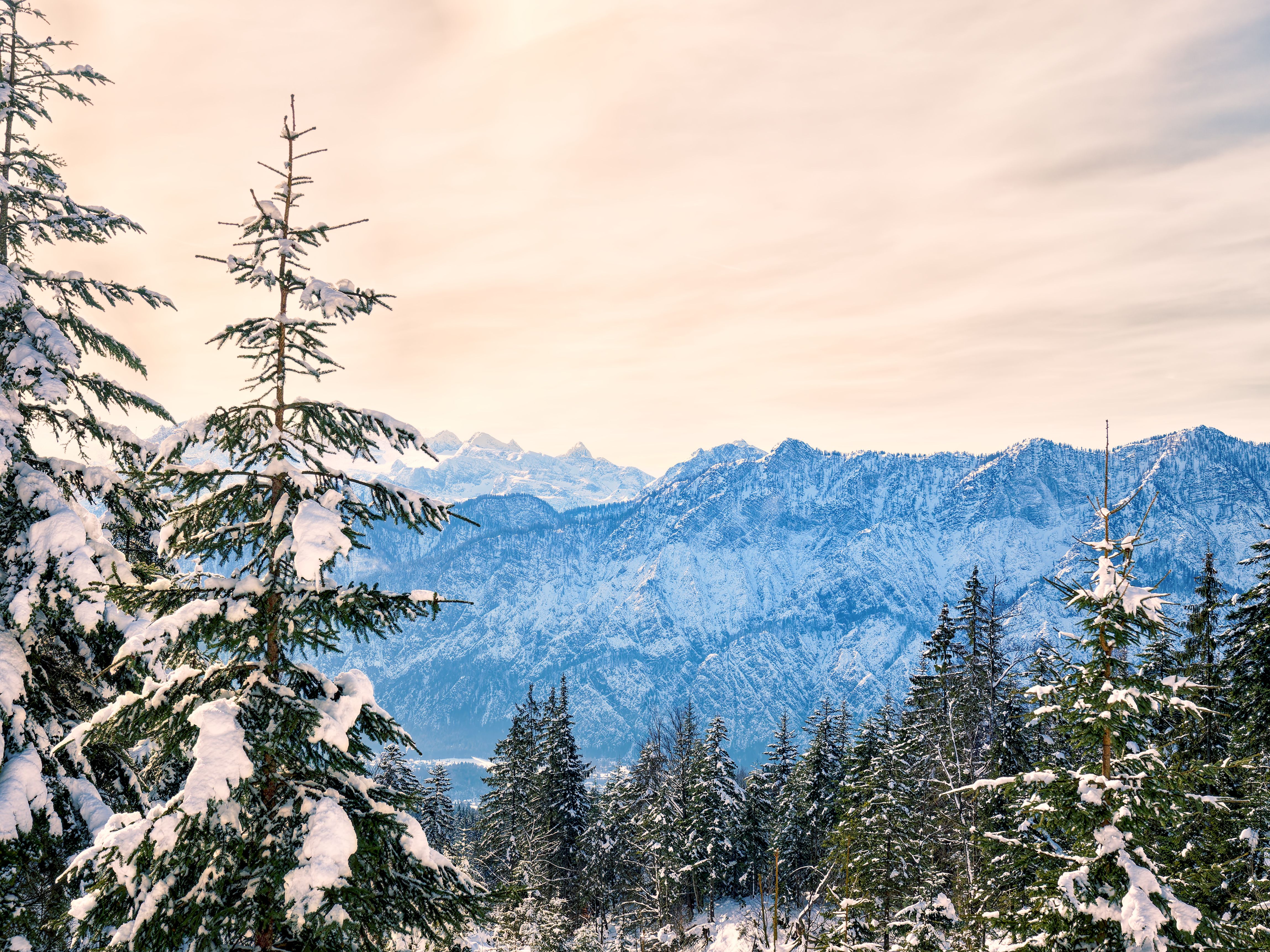 Winter Landscape Photos, Download The BEST Free Winter Landscape