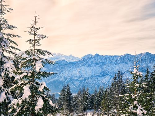 Free Breathtaking winter landscape of snow-covered trees and mountains in Austria. Stock Photo