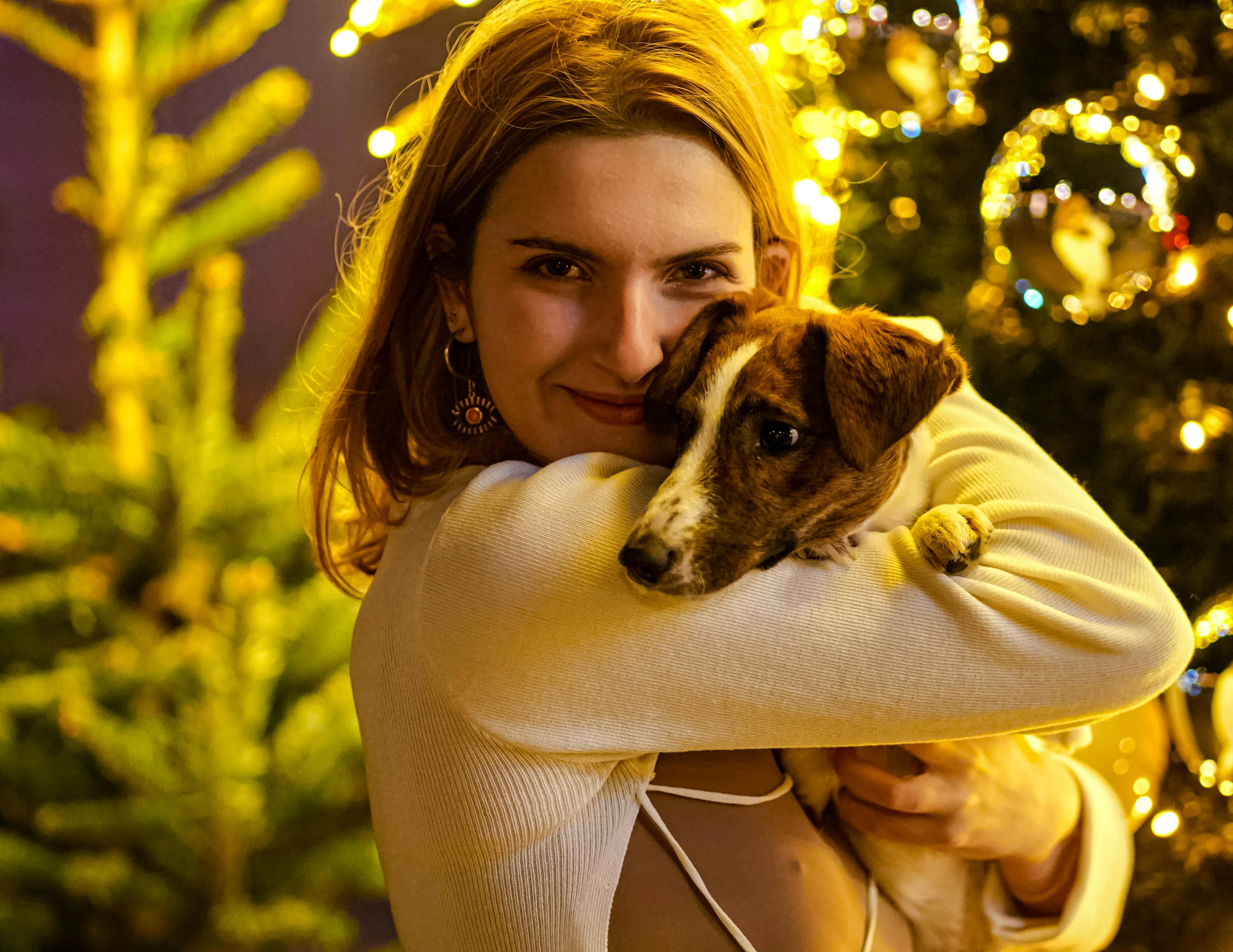 pet lifestyle pets lifestyle — Photo by Nabil Barry on Pexels
