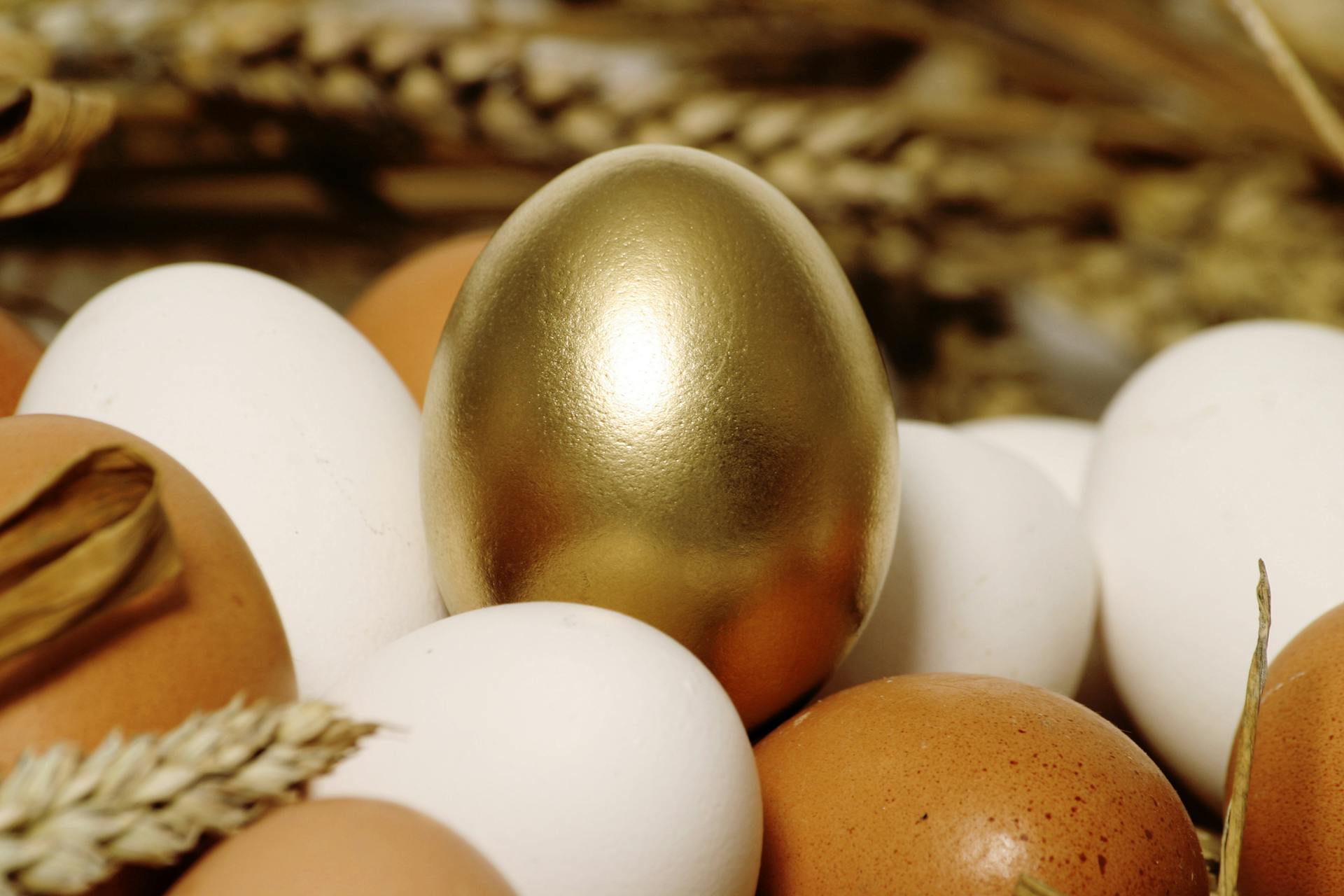 A golden egg surrounded by white and brown eggs symbolizes wealth and uniqueness.