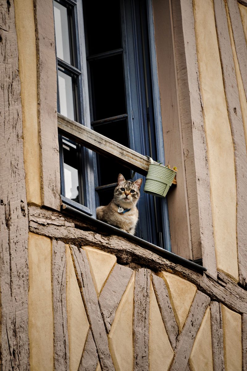 The old town of Rouen
