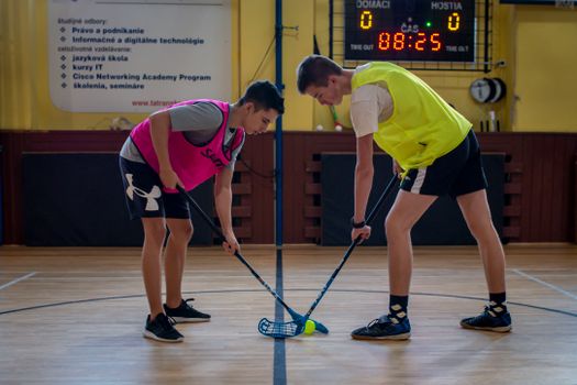 Unlock Next-Level Stick Skills: A Pro’s Look at the ACWYENN Hockey Stick Handling Trainer