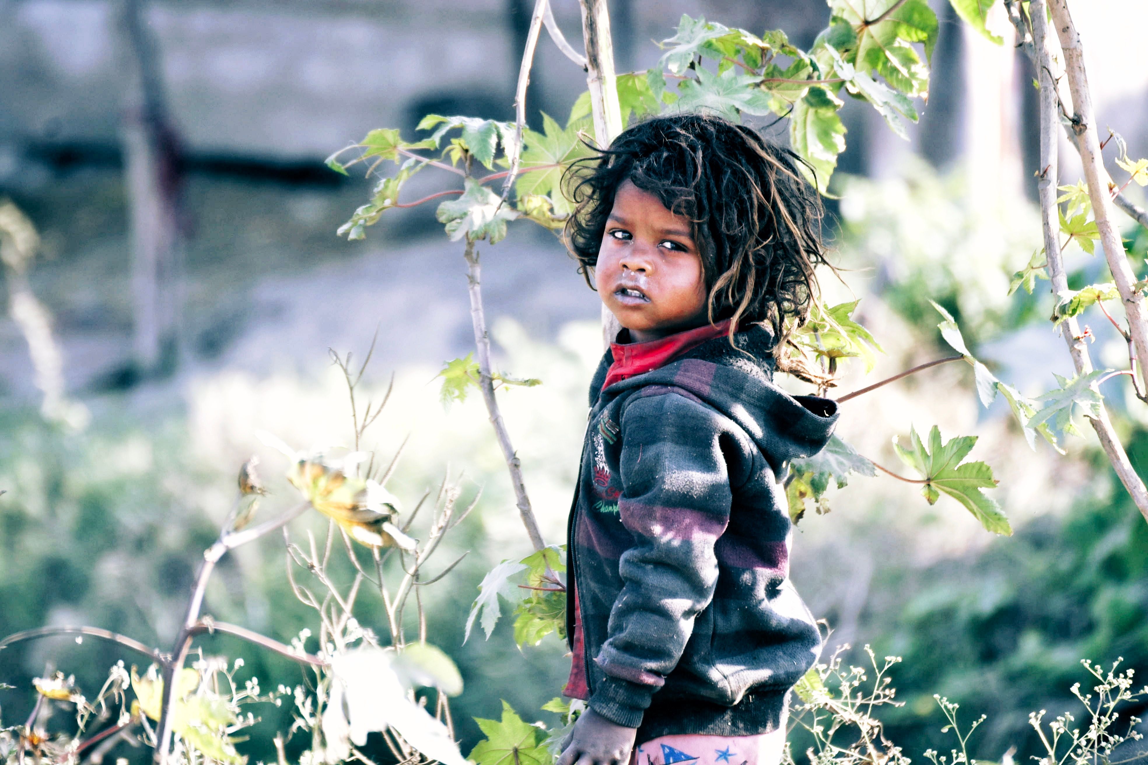 A child in a striped hoodie stands among plants in an outdoor setting.