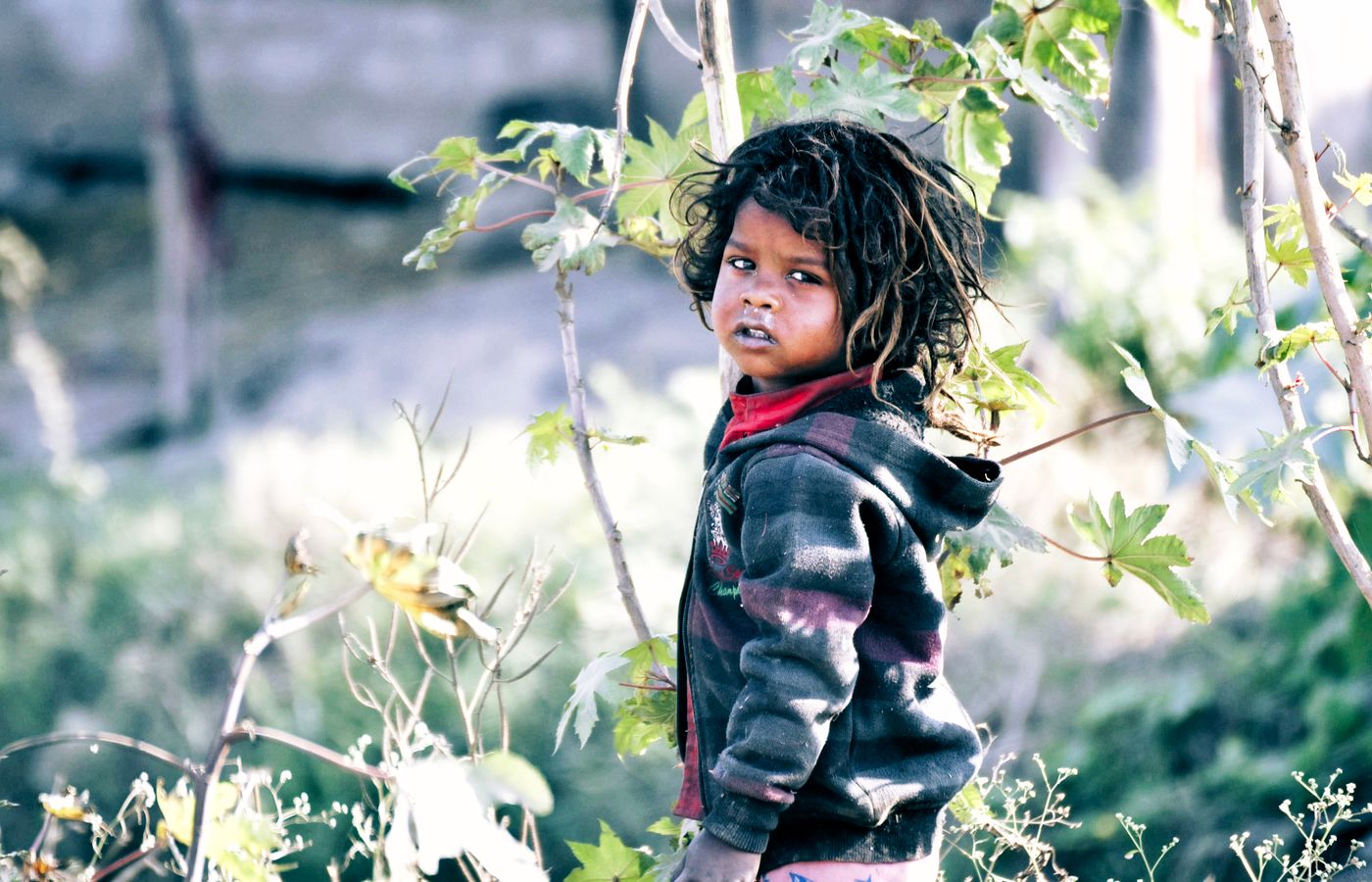 A child in a striped hoodie stands among plants in an outdoor setting.