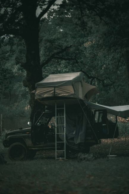 A cozy car camping setup at a quiet forest campsite with string lights and organized gear